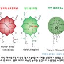라라A 네이버블로그
