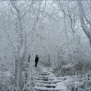 관-비-4-2호 이미지