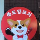 포항시북구74 | [죽도양꼬치] 포항 북구 맛집 포항 양꼬치 맛집 죽도동 죽도 양꼬치 방문 후기