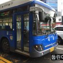 세운버스 이미지