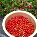 시골나들이 이미지