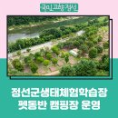 정선군생태체험학습장캠핑장 네이버블로그