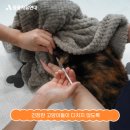 동물자유연대 부속 동물병원 이미지