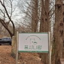 삼백로 | [안성 풍사니랑] 경기도 외곽 드라이브 코스 추천 | 풍산개가 있는 애견 동반 카페 솔직 후기