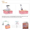 동대구에스미의원 이미지
