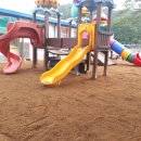 학림초교(병설) 이미지