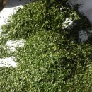 영심농장 이미지