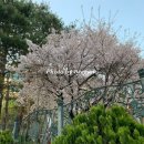 서초중앙로24길 18 이미지