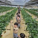 행복한도담어린이집 이미지