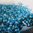 솔잎좌훈한의원 이미지