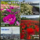 (주)더와이 | 전북 임실 가볼만한곳 옥정호 출렁다리 붕어섬생태공원 (5.16일 방문후기)