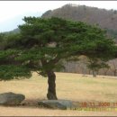 삼거리목장 이미지