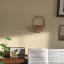 신강초교 이미지