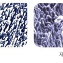 크리세라치과기공소 이미지