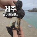 연어브로 | 제주도 카페 오션뷰 바다뷰 주차 편한 베이커리 맛집 추천 왓어브레드