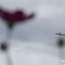 인천국제공항 하늘정원 내 이미지