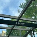 독소배출 체질개선 다이어트 목동 다이어트한의원 해독 다이어트 프로그램 9주차 후기