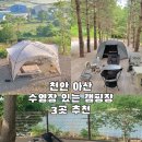 파인 관광농원 | 천안 아산 수영장 있는 캠핑장 3곳 추천해요