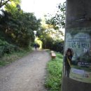 용천(안산) 이미지