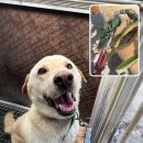 신대1구 이미지