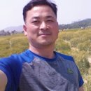 금호행정사 이미지