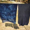 자연의 색 물들이기 이미지