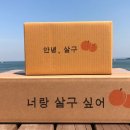 영천청과