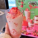 레몬 | 빽다방 메뉴 사진 딸기젤라또 레몬스무디 가격 후기