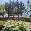 송도연세공인중개사사무소 이미지