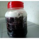 옥골농장 이미지