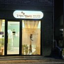 고양이 발바닥 | 청주고양이미용 &#39;고양이발바닥&#39; 후기! 우리 냥이가 스트레스 없이 뽀송해졌어요! ⬛🐈‍💖?