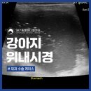 일곡동물병원 이미지