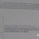 씨가닉 이미지