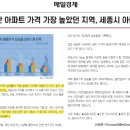 태평상회 이미지