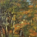 숲(Forest) 이미지