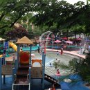 단대공원 물놀이장 이미지