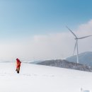 연합행정사사무소 이미지