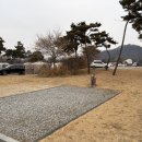 솔밭캠핑장