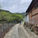 르미르몽 풀빌라 펜션 이미지