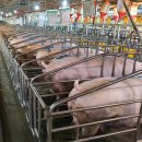 가야농장 이미지