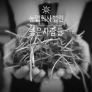 법인믿음농장