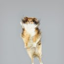 하늘메디칼 이미지