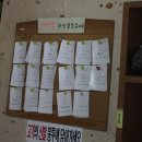 박갈비