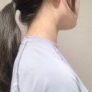 와이즈모먼트 | 와이즈모먼트 거북목 교정기(목견인기) 사용 후기