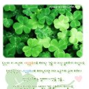 세잎클로버 이미지