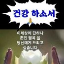 리얼클린 족욕샵 이미지