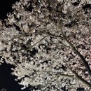 연화지