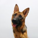 그루멍(groomung) 이미지