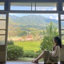 제다원초가집 이미지