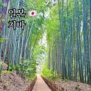 사찌 - 해운대구 재반로84번길 11-7 | 도쿄 근교 치바 사쿠라 당일치기 여행 추천코스